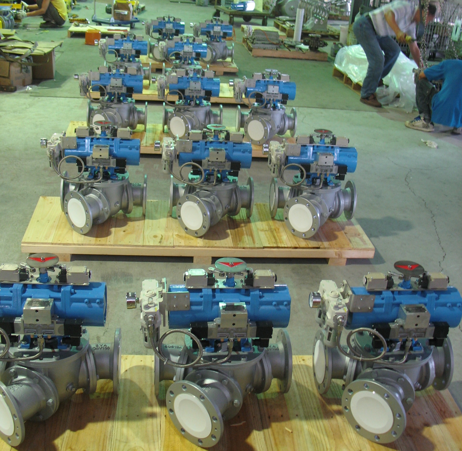 DBV-Valve Project